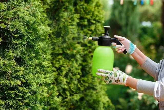 Préserver ce qui fleurit déjà : comment préparer votre jardin pour les mois les plus chauds